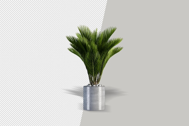 Fiori delle piante in vaso nella rappresentazione 3d isolata