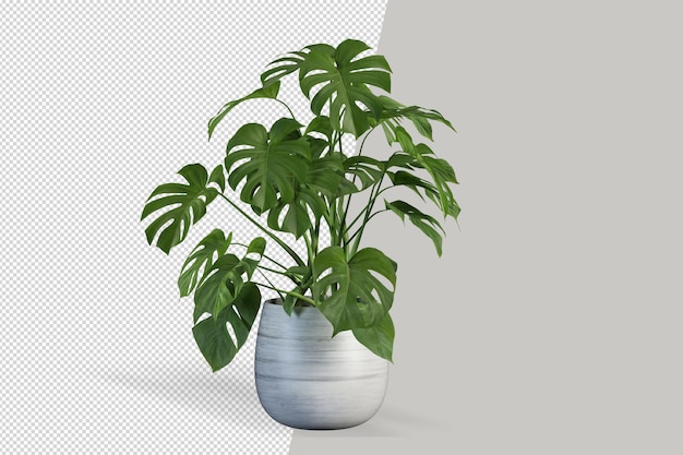 Potted plants flowers in 3d rendering isolated