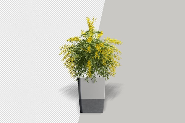 Fiori delle piante in vaso nella rappresentazione 3d isolata