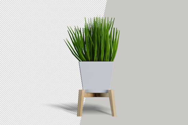 Potted plants flowers in 3d rendering isolated