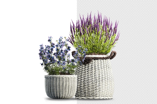 PSD potted plants flowers in 3d rendering isolated