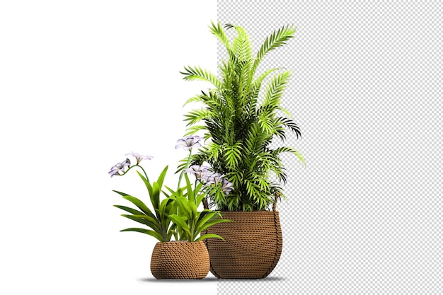 Potted plants flowers in 3d rendering isolated