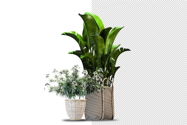 分離された3Dレンダリングで鉢植えの花