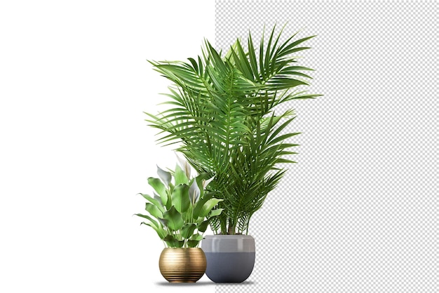 Potted plants flowers in 3d rendering isolated