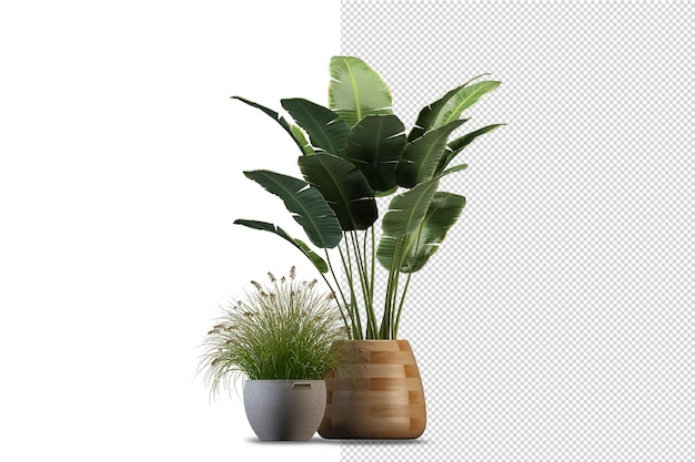 Potted plants flowers in 3d rendering isolated