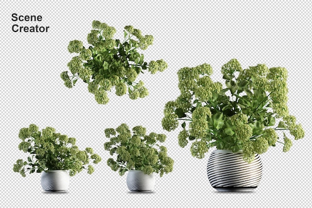 分離された3dレンダリングで鉢植えの花