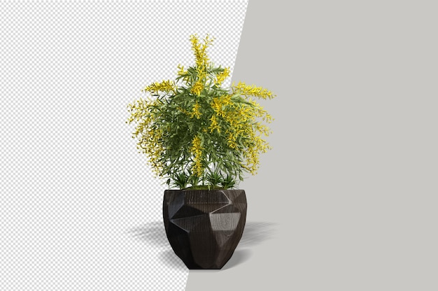 分離された3dレンダリングで鉢植えの花