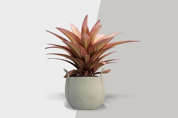 分離された3dレンダリングで鉢植えの花