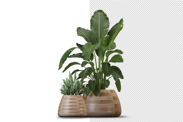 分離された3dレンダリングで鉢植えの花