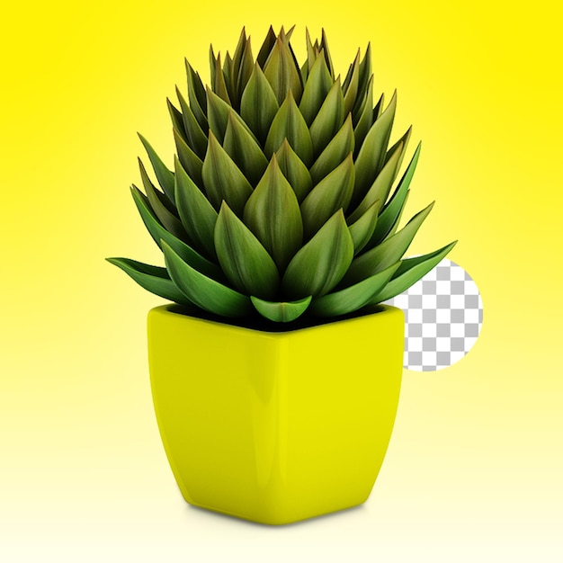 Potted small plant for home decoration concept