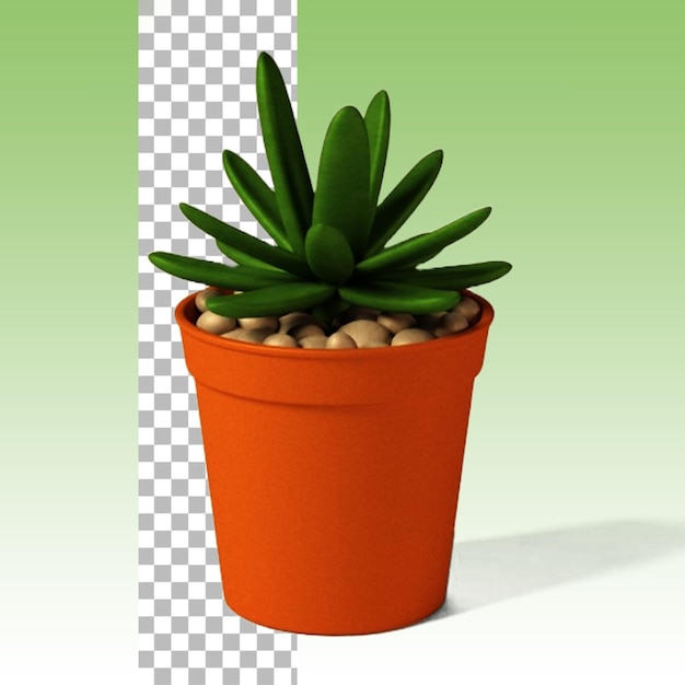 Potted small plant for home decoration concept