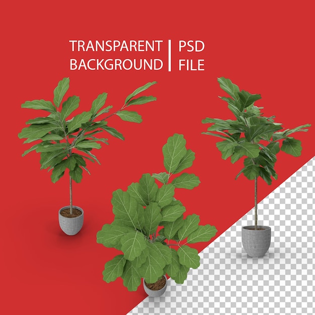 鉢植えの木PNG