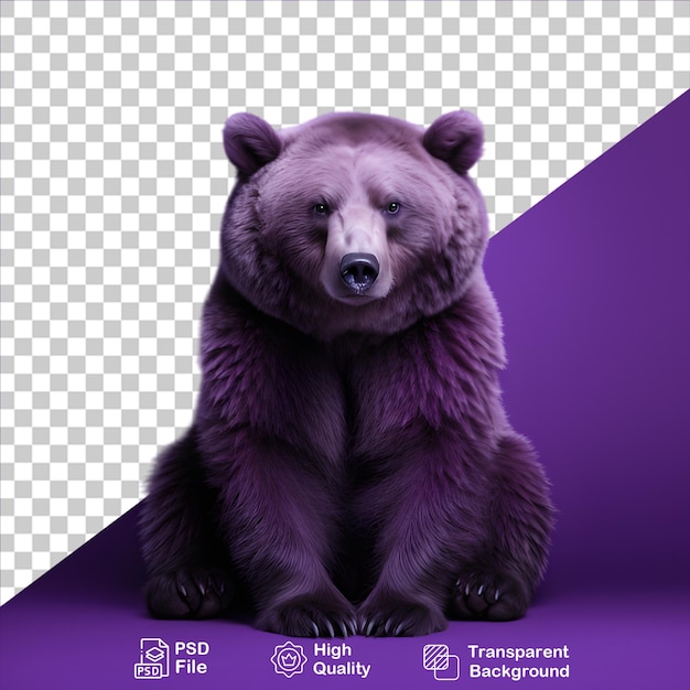PSD prachtige paarse beer geïsoleerd op transparante achtergrond inclusief png-bestand