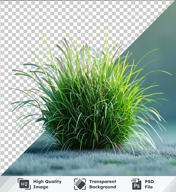 PSD Высококачественный макет свежей зеленой травы psd на сером фоне