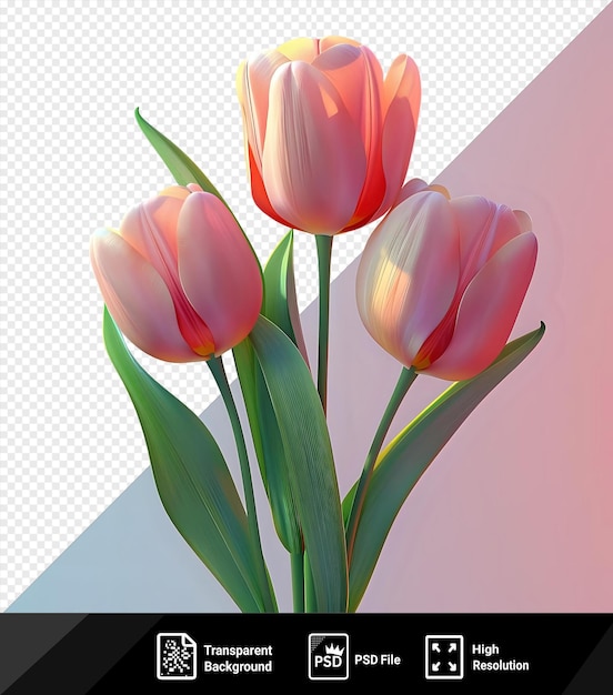 PSD premium of spring flowers tulips in shades of pink and red bloom on green stems against a blue sky with a single green leaf in the foreground png psd