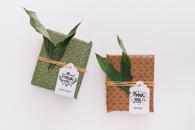 PSD present box mockup with leaves