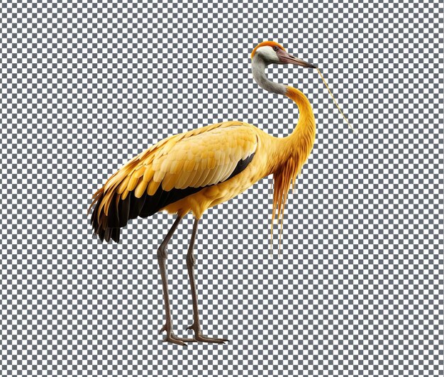 PSD pretty golden crane isolated on transparent background