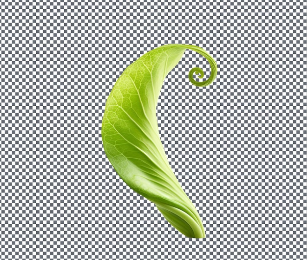 Pretty unfurling uniqueness isolated on transparent background