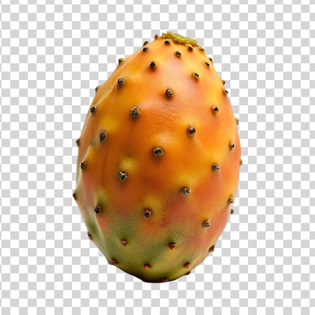 PSD prickly pear isolated on transparent background