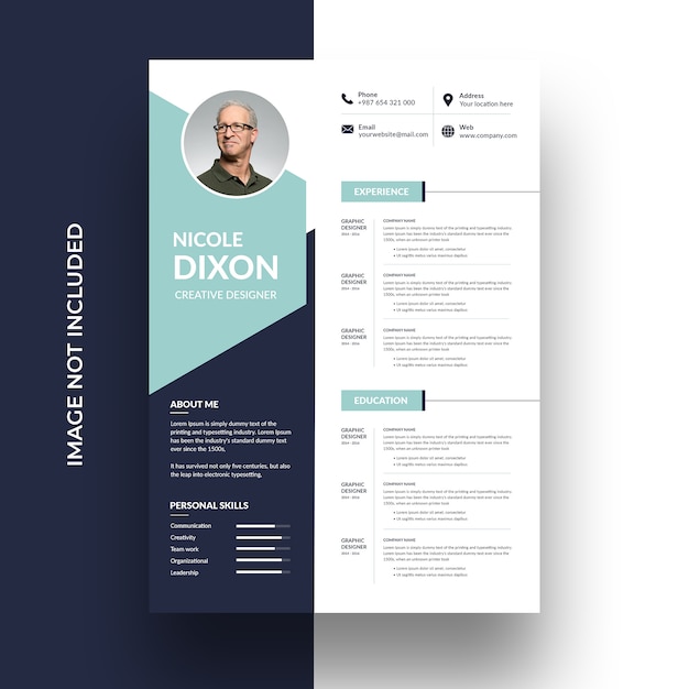 Profesional cv template