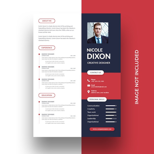 Professional curriculum vitae template