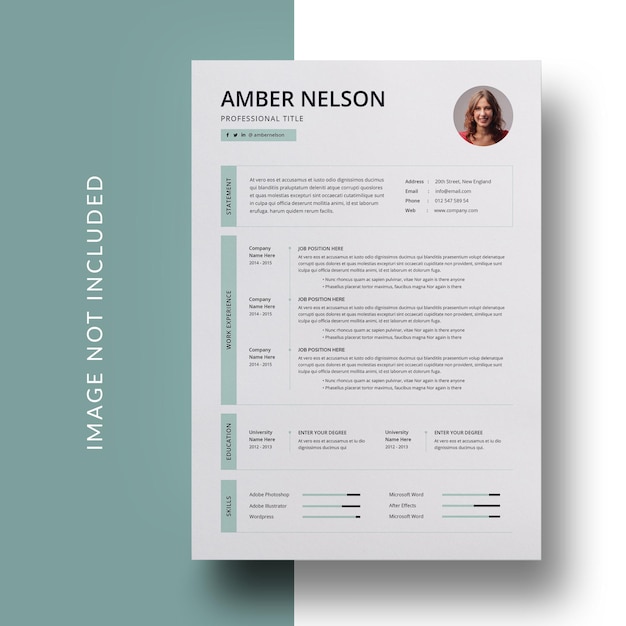 Professional curriculum vitae template