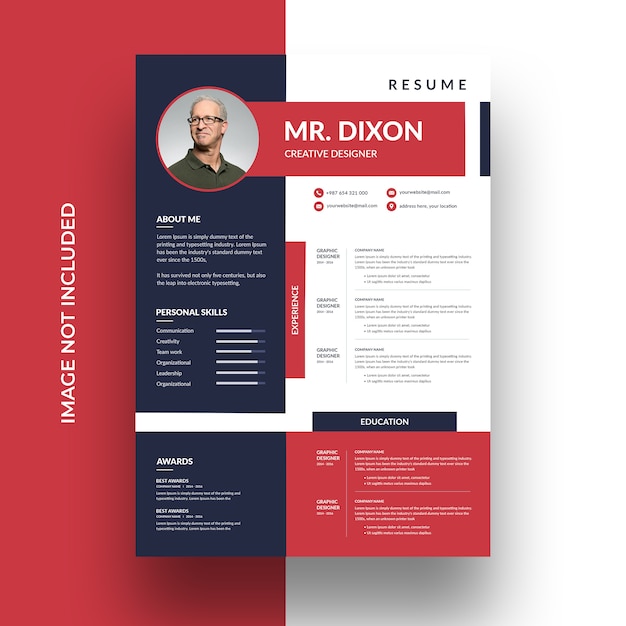 PSD curriculum vitae professionale