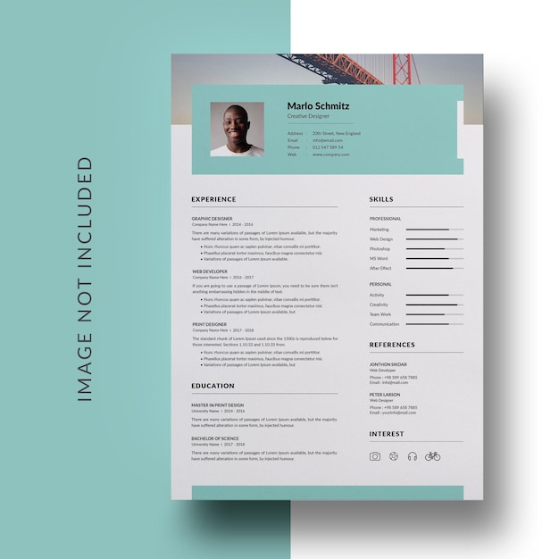 professional curriculum vitae