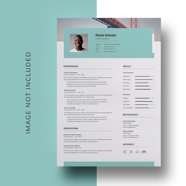 Professional curriculum vitae