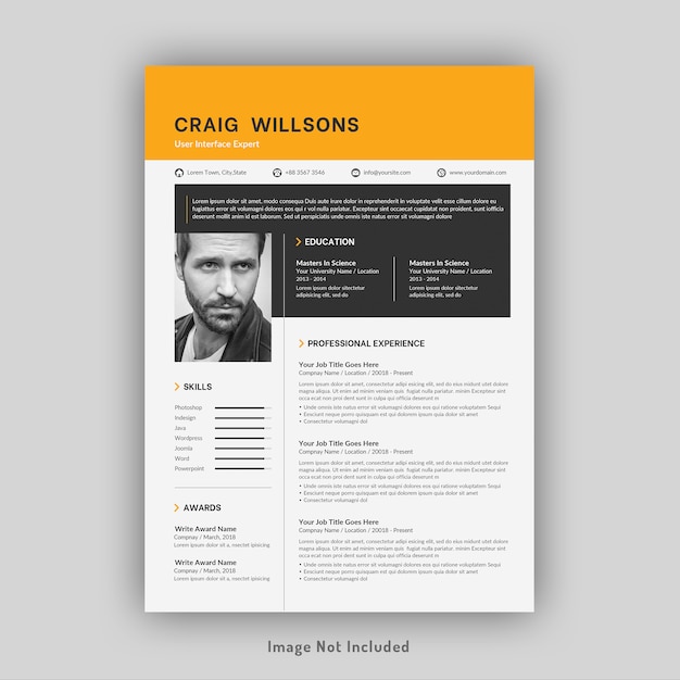 Professional resume or cv template