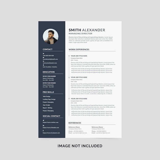 PSD professional resume