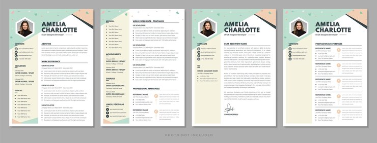 プロのソフトウェア開発者の履歴書