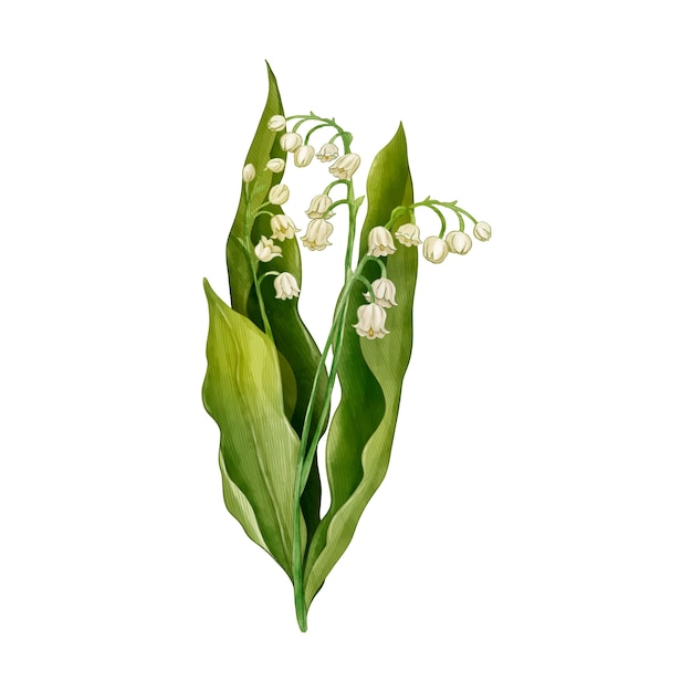 Projekt kwiatów botanicznych