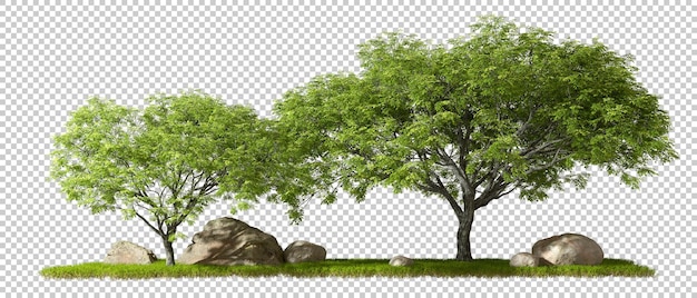 PSD projekt składu lasu krajobrazowego na przezroczystym tle renderowania 3d