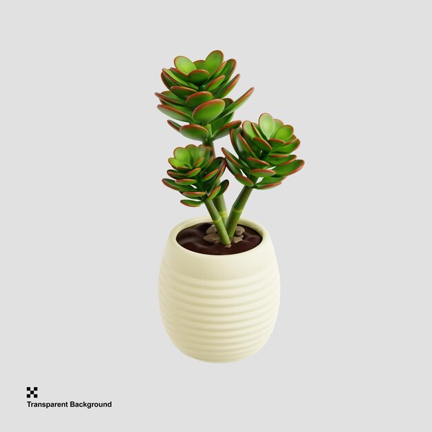PSD 繁栄ヒスイの植物の屋内植物の 3 d イラストレーション