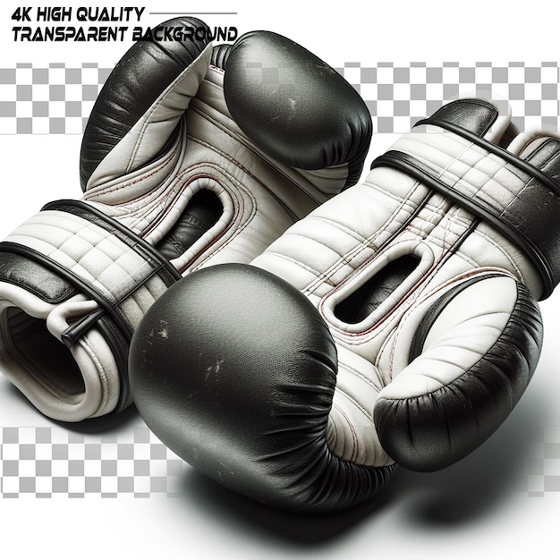 Protective gear for fighters in matches on transparent background