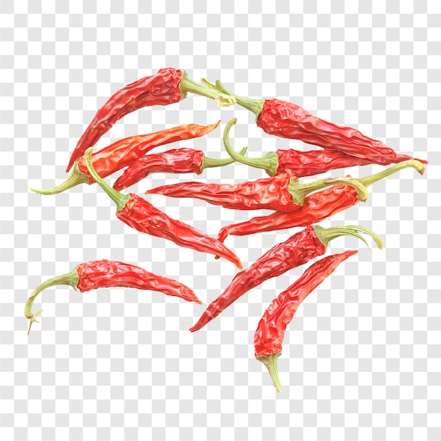 Przezroczyste gorące papryki chili