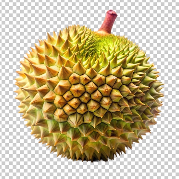 PSD przezroczyste tło durian