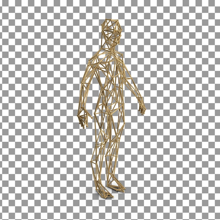 PSD psd 3d body skeleton top on isolated and transparent background