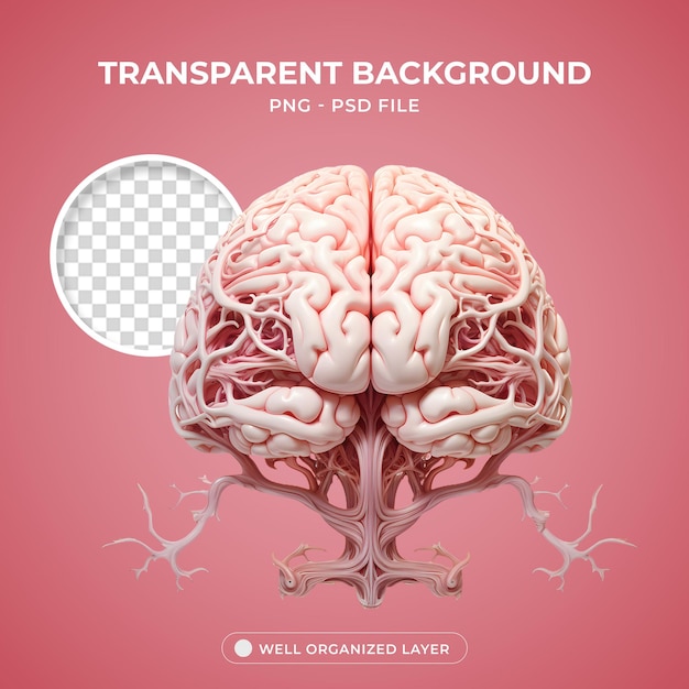 Psd 3d brain element for composition png transparent background