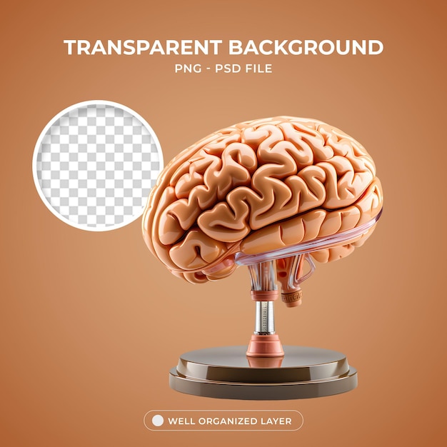 PSD 3D Brain Element Object PNG Transparent Background
