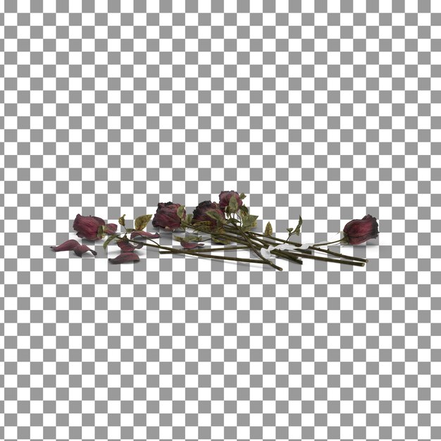 PSD psd 3d dead rose icon on isolated and transparent background