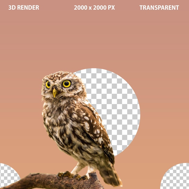 PSD 3d flying owl bird and setting on tree owl png