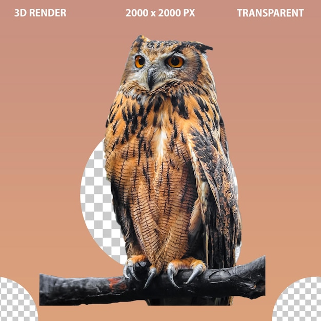 PSD 3d flying owl bird and setting on tree owl png
