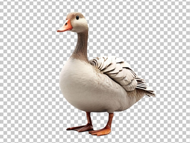 PSD psd of a 3d goose