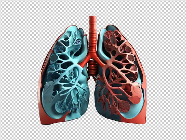 PSD psd of a 3d lungs