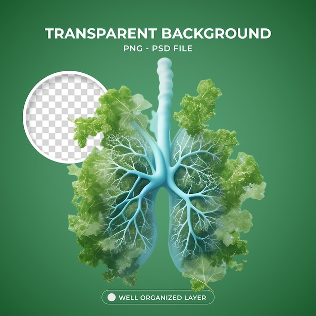 PSD psd 3d object plants in the shape of a lung png transparent background