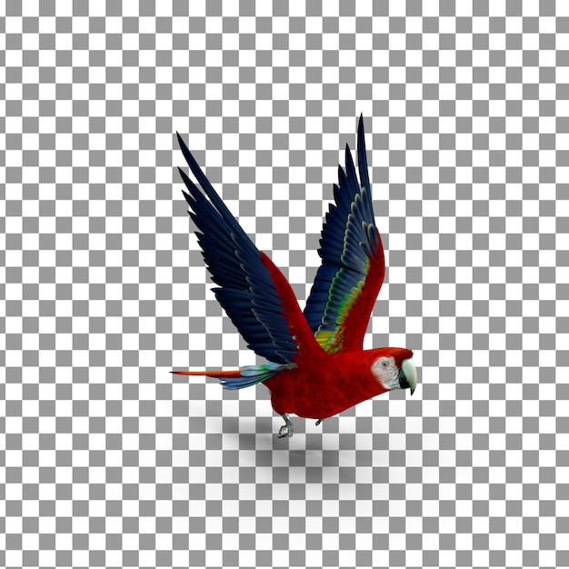 PSD 3D Parrot Top on isolated and transparent background