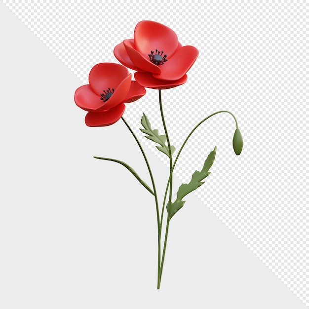 PSD psd 3d render red poppy