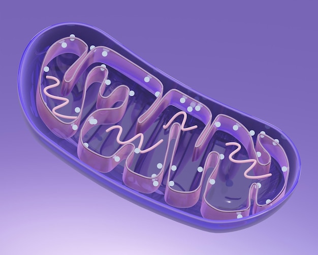 PSD psd 3d rendered mitochondria illustration